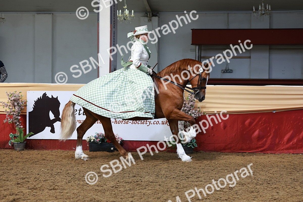 SBM_13841 - Class 106 - Ridden Costume -Astride Adult (15-19)