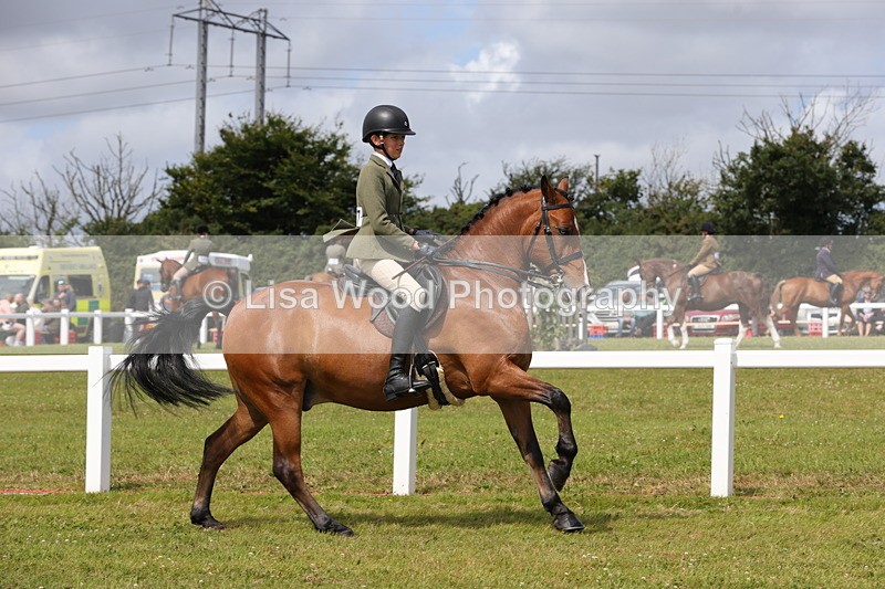 1X9A4002 - Class 32: Show Hunter Pony 153cm and under
