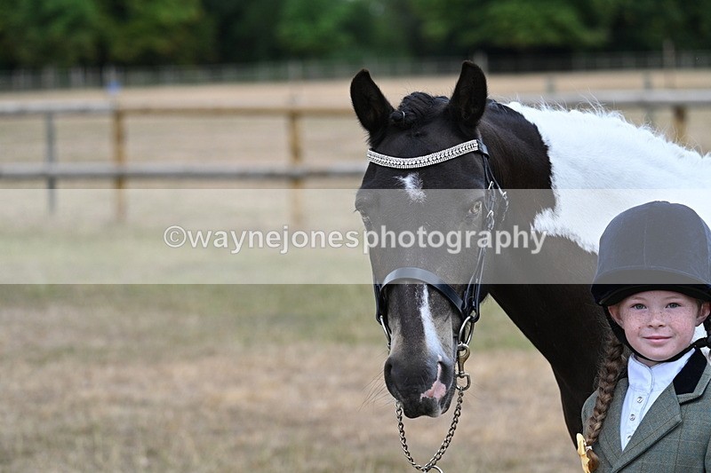 WJ7_9697 - Class 5 Most Handsome Gelding (up to 14.2hh)