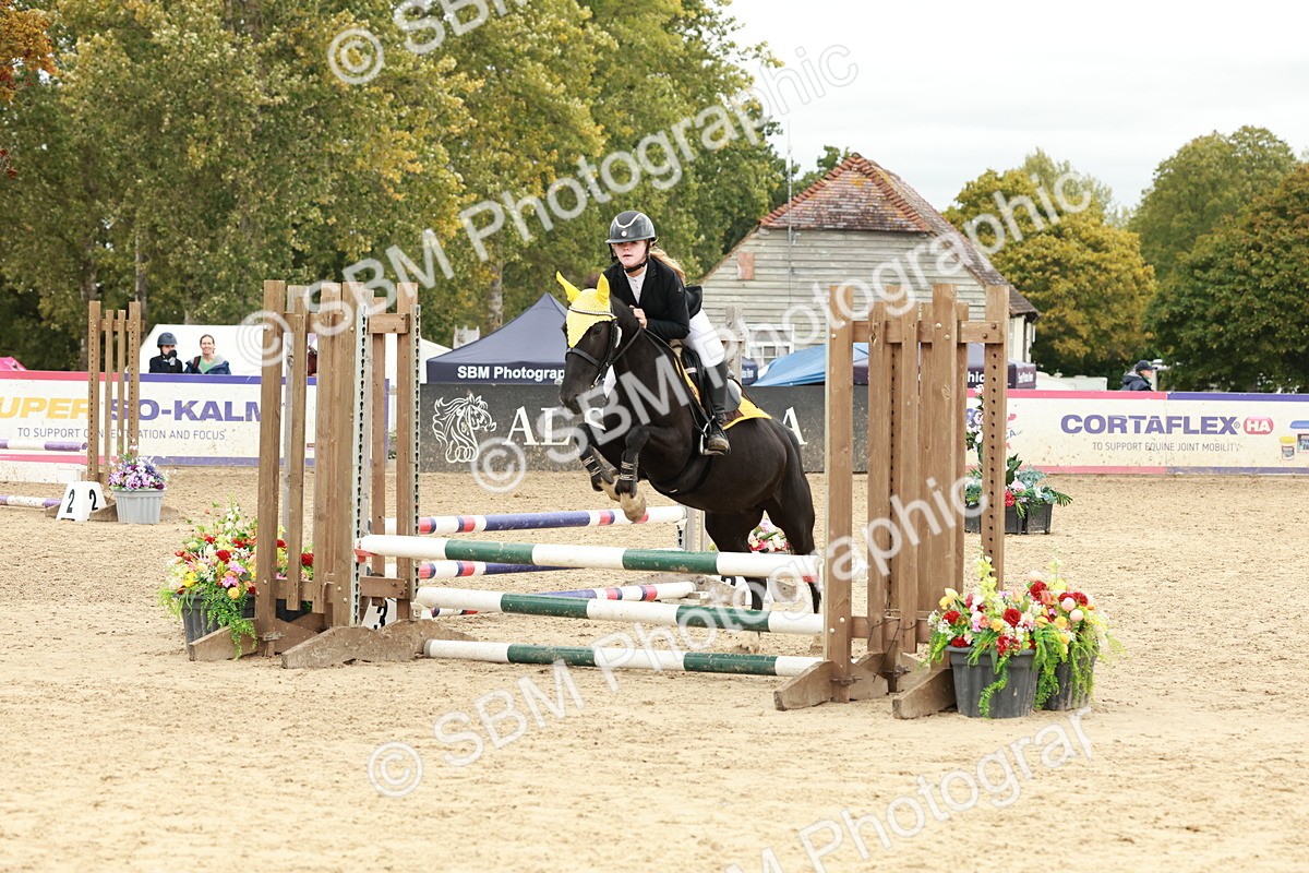 SBM_67112 - J13 - Junior Pony 60cm Championship