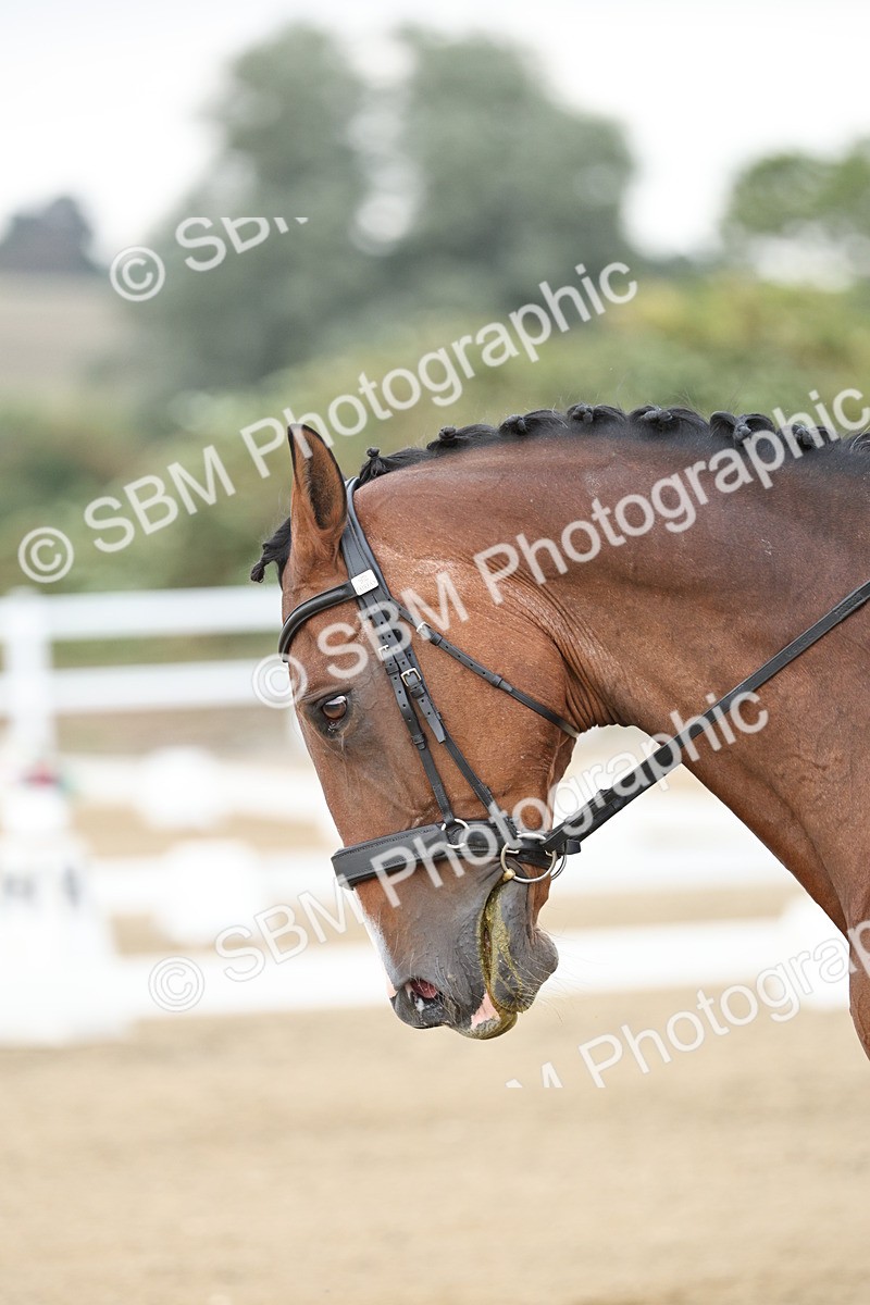 SBM_006511 - Class 21 - Medium 5 Bronze - 9.08-9.48