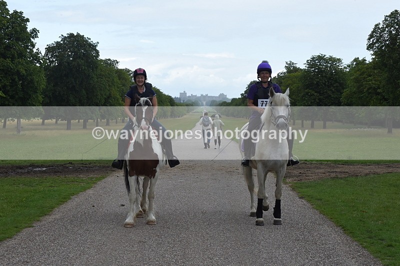 TT3_0176 - Time at Crossing 13:17 to 14:48