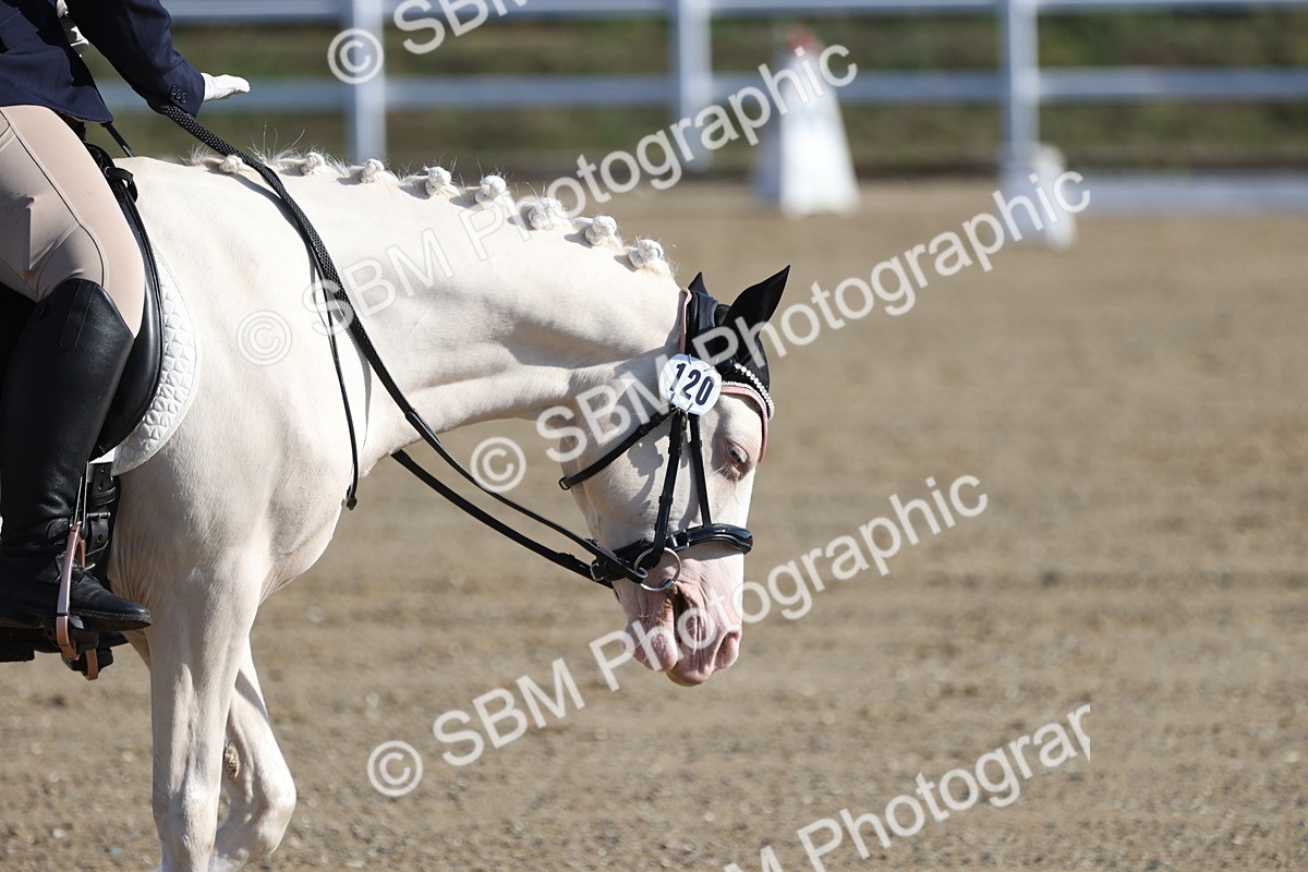 PAO_0092 - Class 2 - Intro 4 Champs - 8.30-9.26