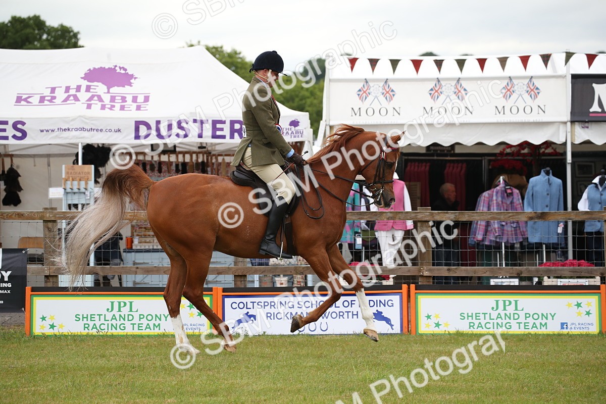 SBM_03660 - Class 21 - 22 - Ridden Arab and Part Bred/Anglo Arab