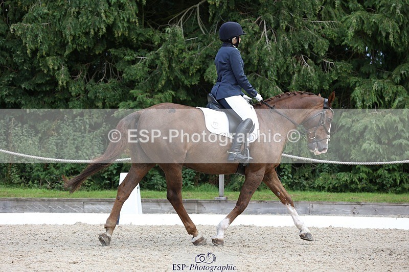 230812-134650-04314 - Cls 5 Novice Bronze 13.40 to 14.45 break