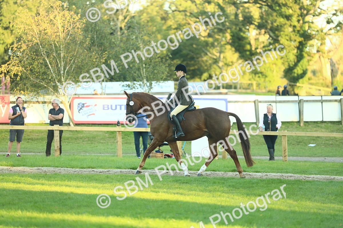 SBM_56445 - S14 - Riding Club Horse