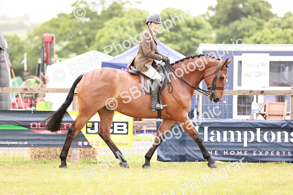 SBM_10751 - Class 81-84 - RIHS Ridden hunters Inc Ladies Hunter