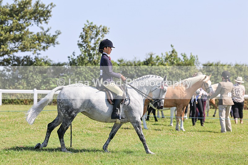 IMG_1929 - Class 33: Show Pony 148cm and under