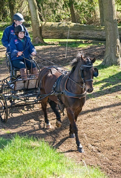 _DSC8840 - Ashfields Carriage & Polo Club