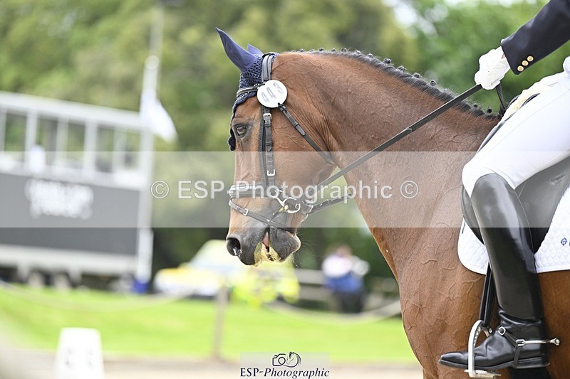 240523-161203-05426 - 443-FIGARO_DES_PREMICES-Alexander_Peternell