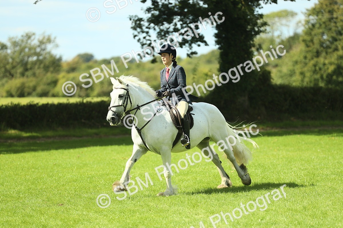 SBM_42930 - S30 - M&M Working hunter Pony