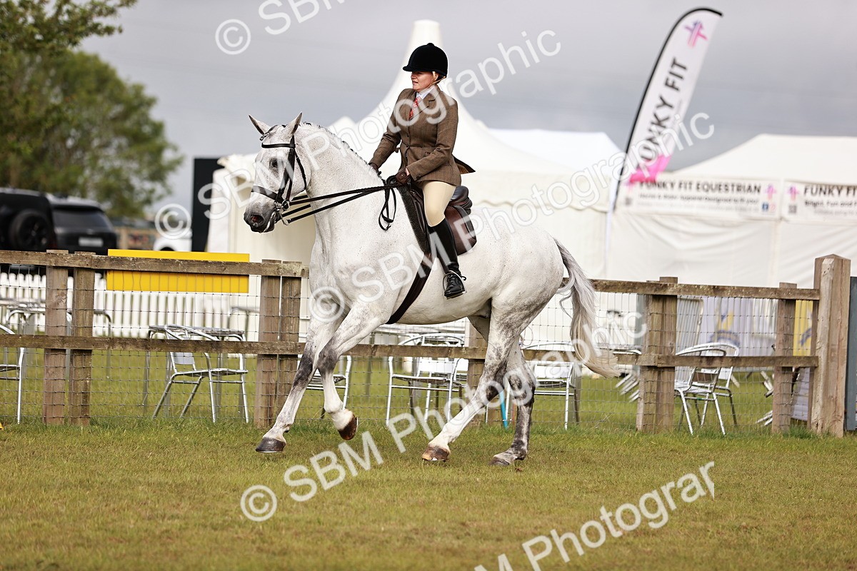 SBM_10863 - Class 81-84 - RIHS Ridden hunters Inc Ladies Hunter
