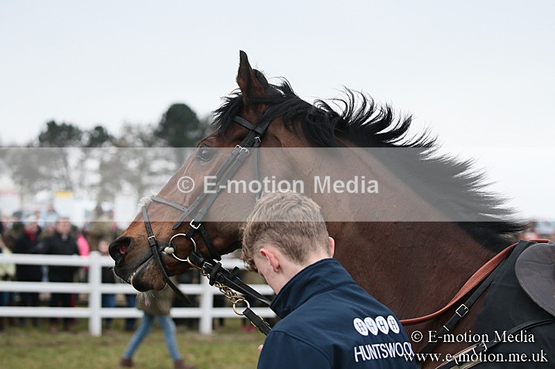PtP 170219 -35 - Combined Services Point-To-Point Larkhill 17/02/19
