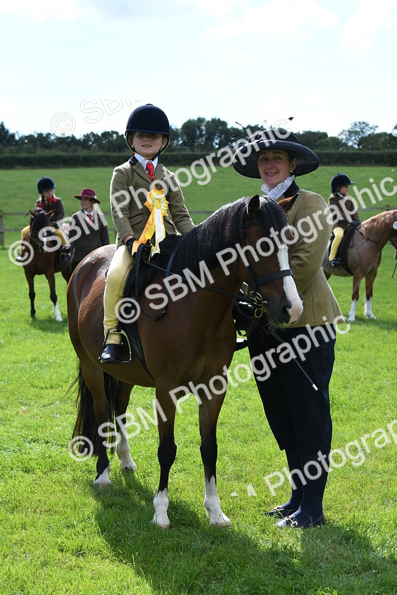 SBM_42672 - S20 - Lead Rein Mountain & Moorland Pony