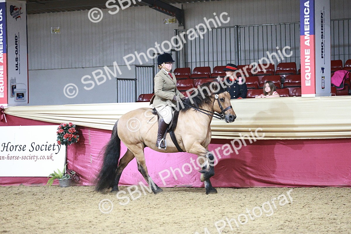 SBM_08031 - Class 11R - Regional Ridden Veteran