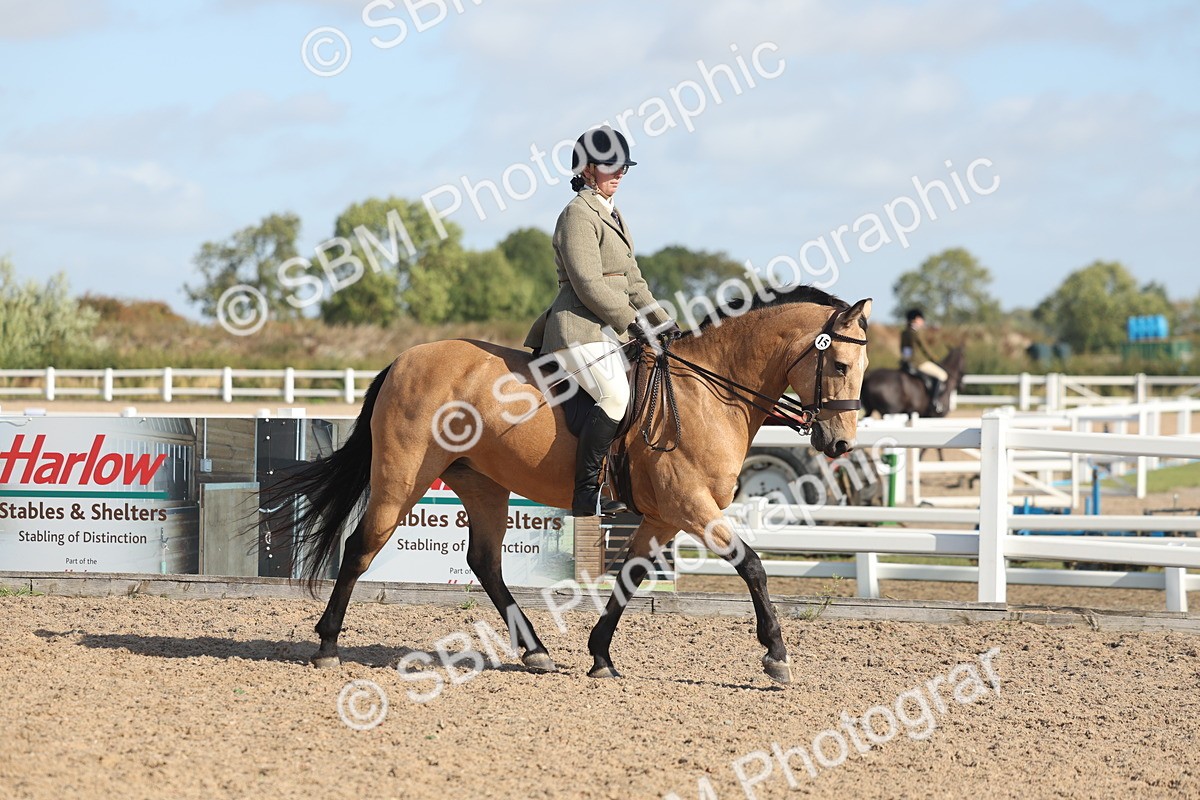 SBM_22595 - Class 804 - Ridden Veteran Pony