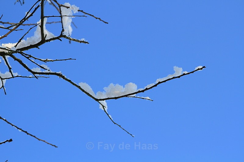  - Winter's Sparkle