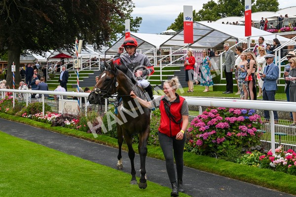 270724-Race 5-Theme Park-9755 - Race 5 4.35pm Sky Bet Prize Drop Handicap