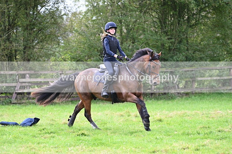 WJ7_0419 - Time at Photographer 11:49 to 12:17