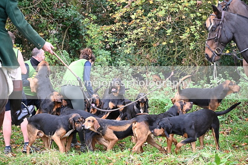 WJ6_8536 - Meet