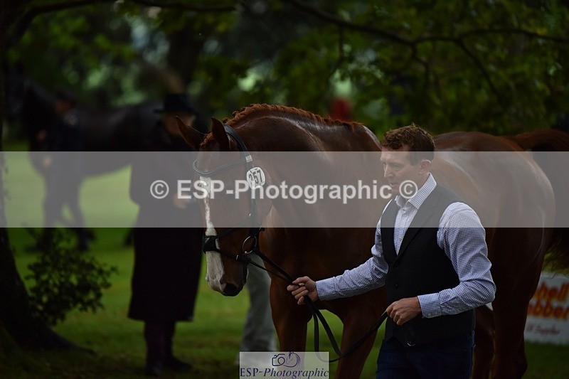 240522-152748-00354 - 357-OUGHTERARD_QUALITY-John_Westmore