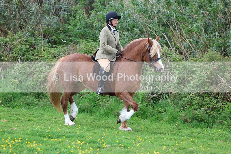 3E7A0625 - Class 5: Ridden M & M Senior