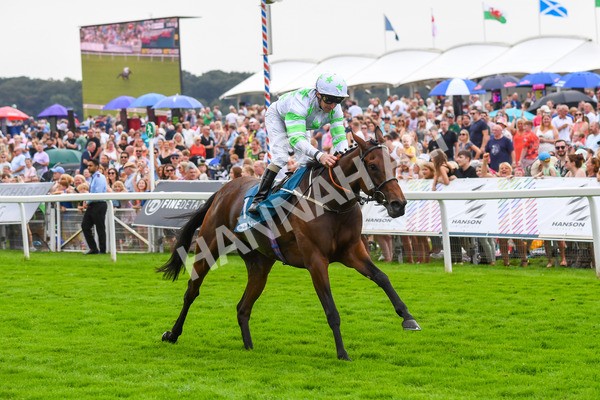 100923-Race 3-Yorkindness-0654 - Race 3 2.45pm Fine Details Vehicle Valeting Handicap