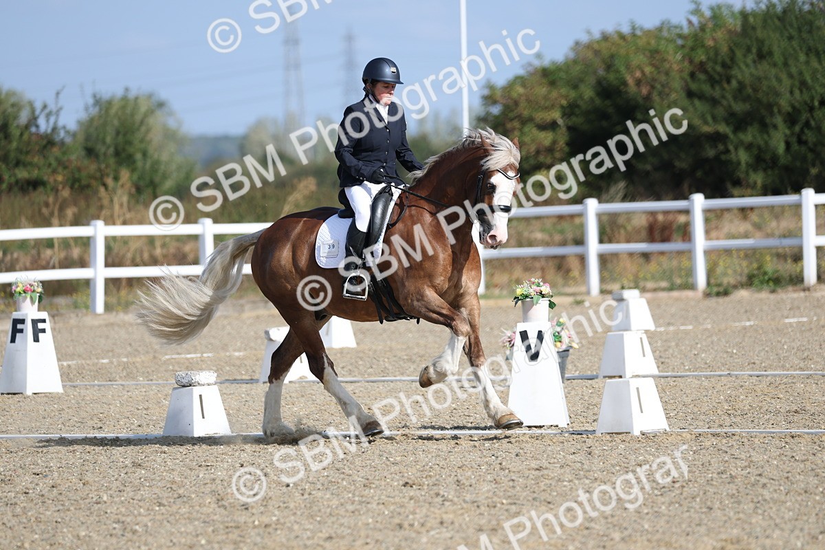 SBM_020259 - Class 21 - M5 Bronze 9.30.10.34