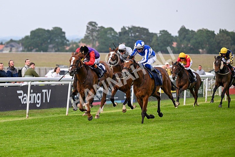 160626-Race 2-Lorcas Waltz-3827 - Race 2 19.00pm Connexin Ultrafast Maiden Stakes