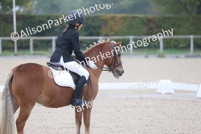 20251012-0093 - Class 1 - Prelim 5