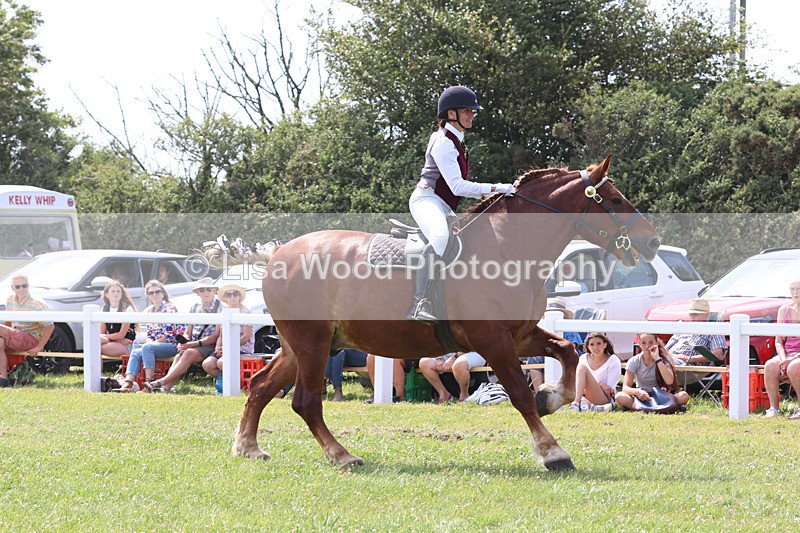 JPP_3504 - Class 15: Heavy Horse Ridden