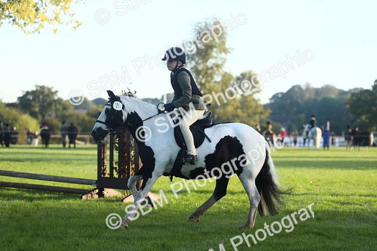 SBM_31745 - S28 - Nursery Stakes Working Hunter Pony