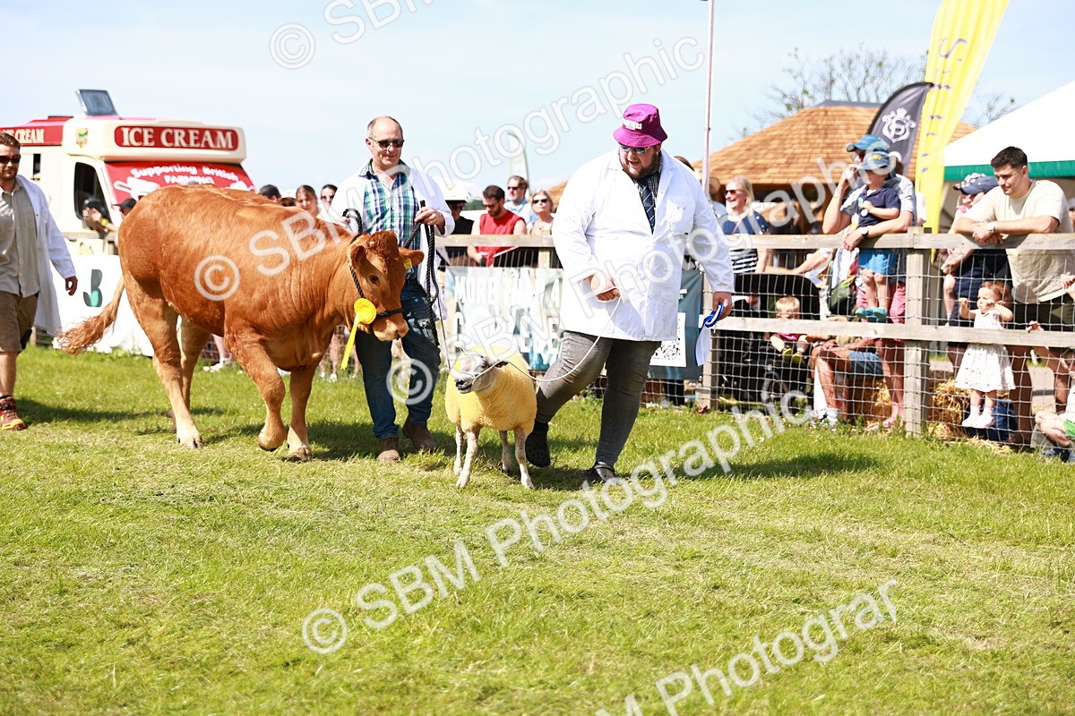SBM_08322 - Grand Parade