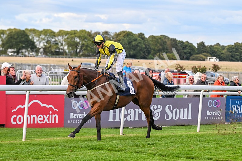 160926-Race 8-Evelyns Phoenix-2215 - Race 8 5.50pm Hurn Handicap (Div II)