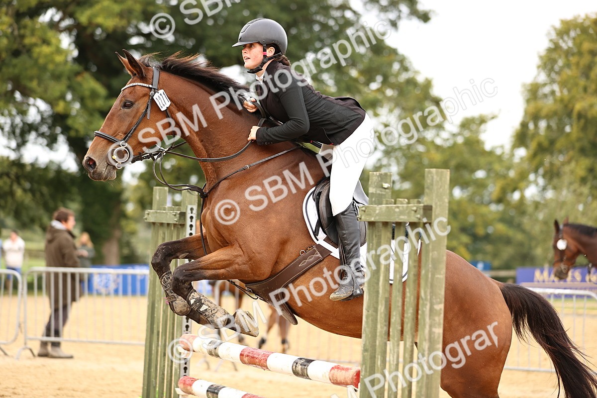 SBM_58323 - J41 - Grand Tour Horse & Pony 95cm