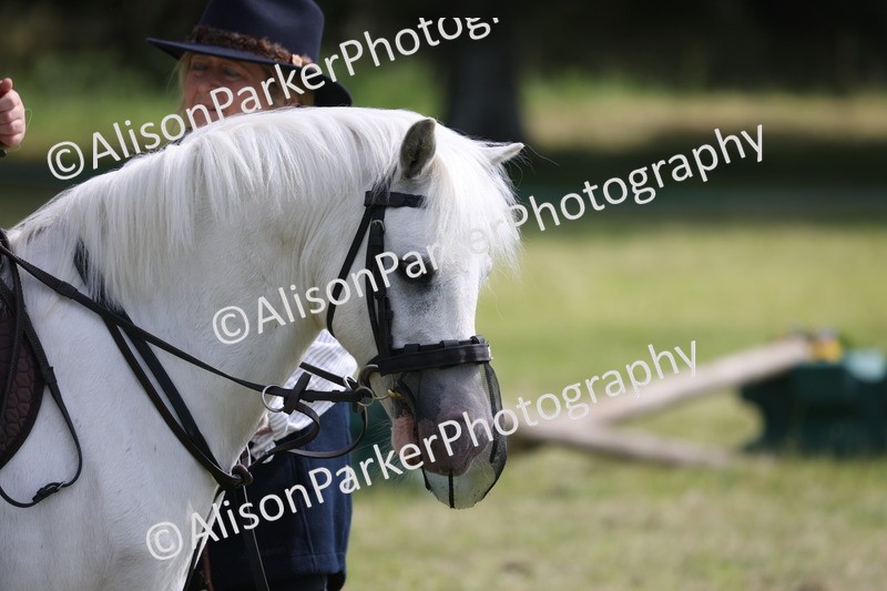20260614-0724 - Class 20 - Beginners Working Hunter Pony