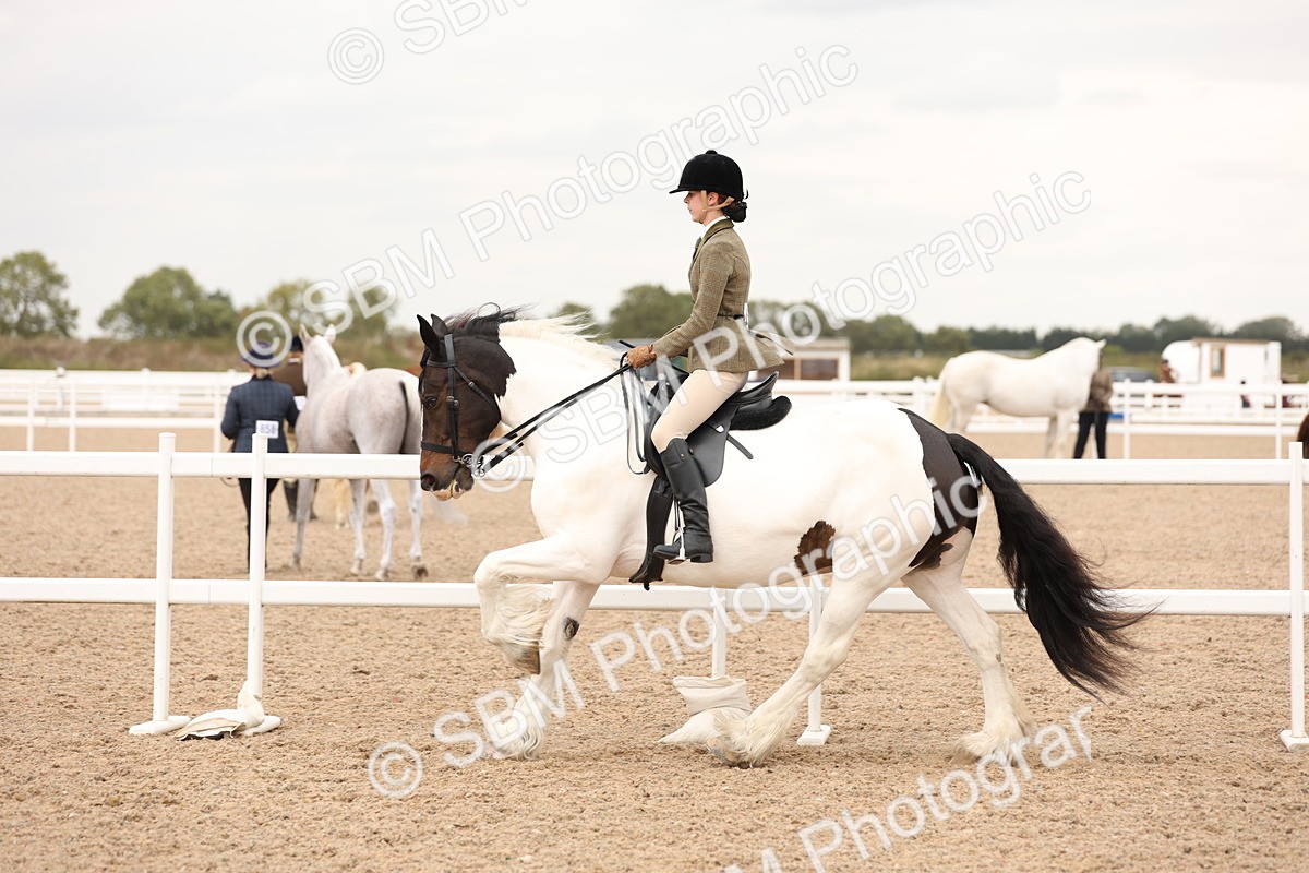 SBM_19693 - Class 216 - Ridden Traditional - Native Cob