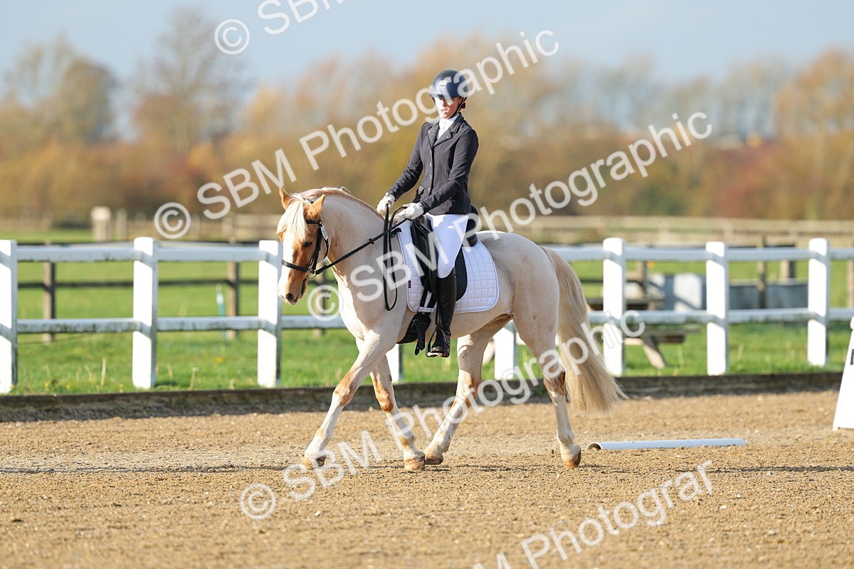 SBM_003018 - Class 2 - Intro 3