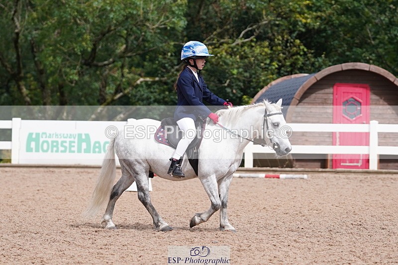 240809A-110144-00705 - Dressage Competition