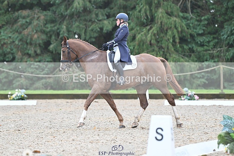 231019-111308-02081 - 106-PERCIVALE-Katey.Cuthbertson-DR