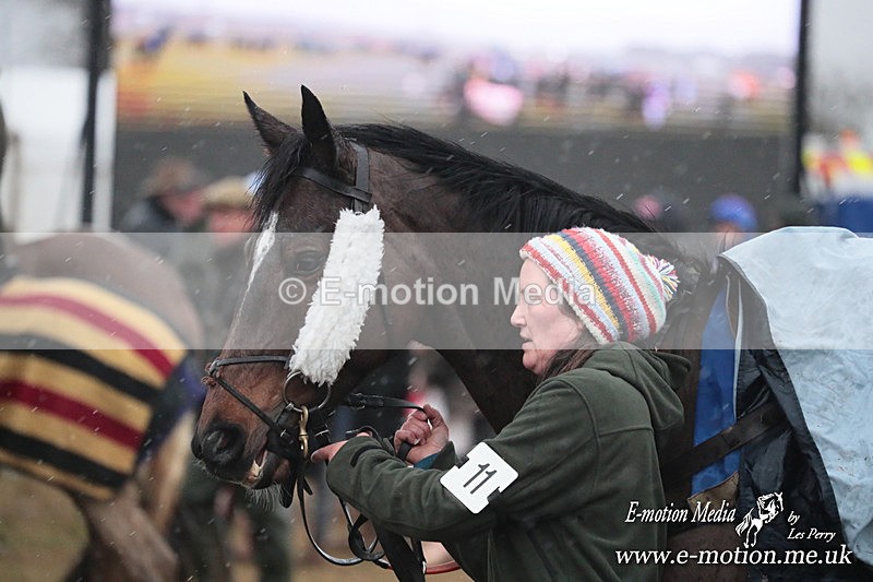 PtP 260125 996 - Cocklebarrow Point-to-Point racing with the Heythrop Hunt 26/01/25