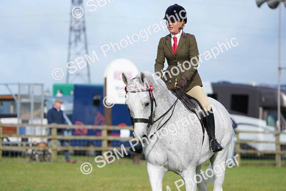 SBM_10479 - Class 97-98 - LIHS BSHA Rising Star Working Show Horse Hunter