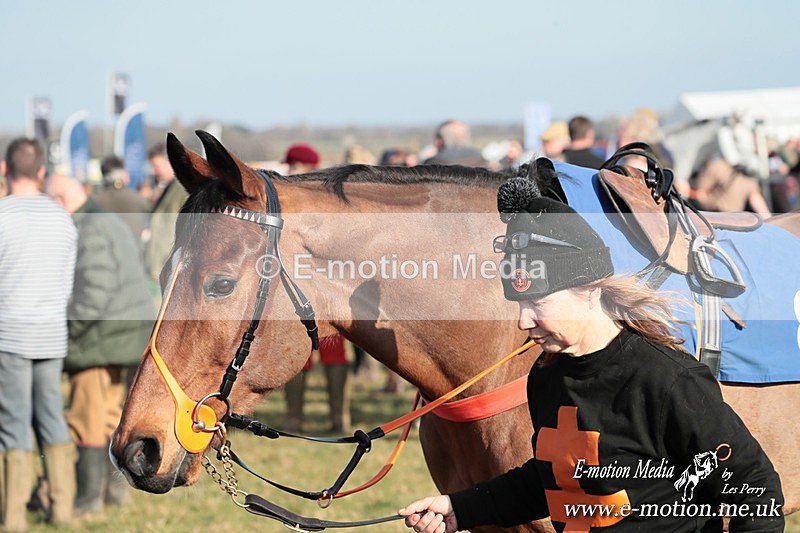 PtP 010325 378 - Beaufort Races Didmarton 01/03/25