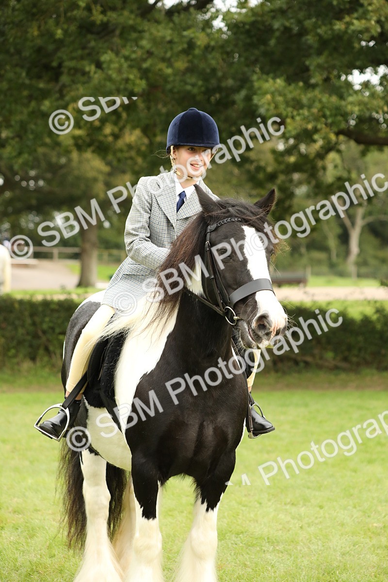 SBM_71673 - S41 - Ridden Equitation (Best Rider)