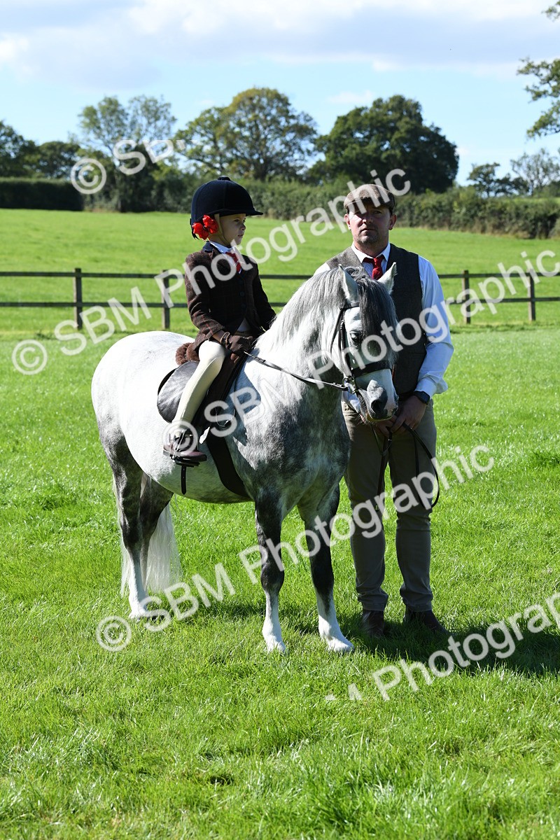 SBM_39654 - S18 - Novice & Newcomers Lead Rein Pony