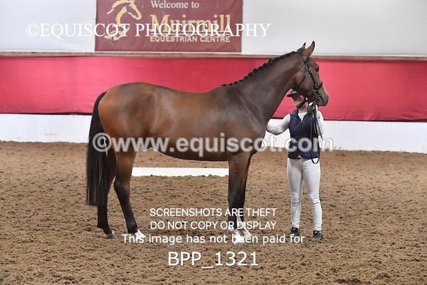 BPP_1321