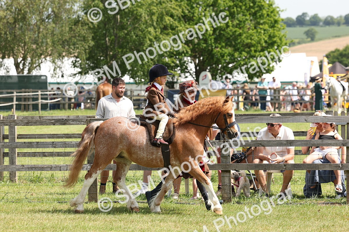 SBM_05225 - Class 24-25 - Mountain & Moorland In Hand Lead Rein and First Ridden
