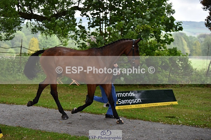 240522-151240-00169 - 308-COOLEY_ANYTHING_YOU_LIKE-Harry_Meade