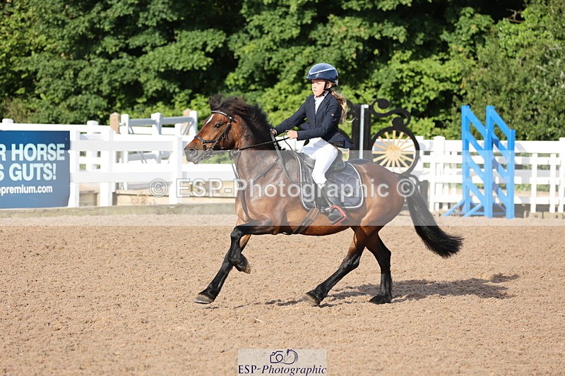 240629A-074320-02202 - Cls 16 British Novice and 80cm Open