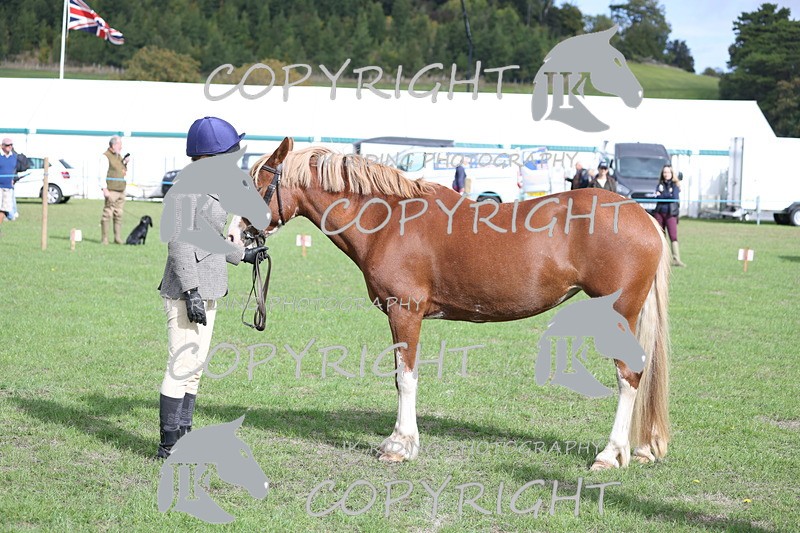 APP_2639 - Class 9 Veterans in hand